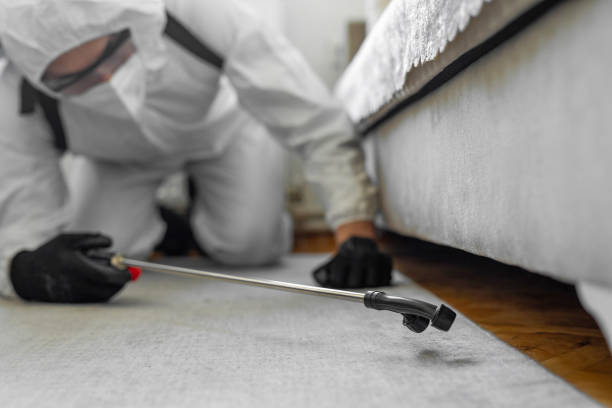 Professional Cockroach Control technician working in Pittsboro, IN